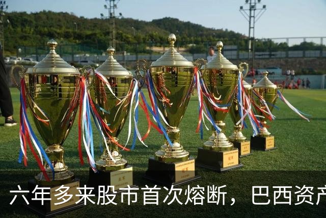 六年多来股市首次熔断，巴西资产遭全面重估