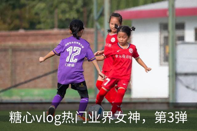 糖心vlog热门业界女神，第3弹