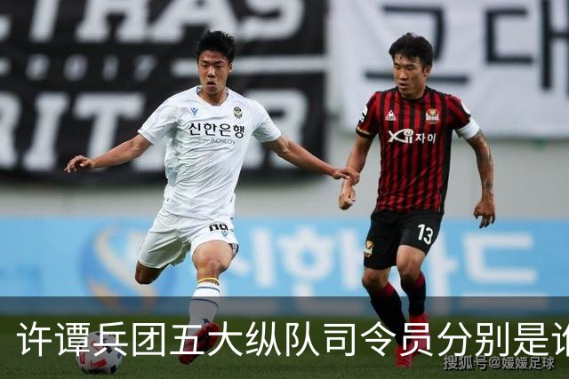 许谭兵团五大纵队司令员分别是谁？他们的军衔又是什么情况？